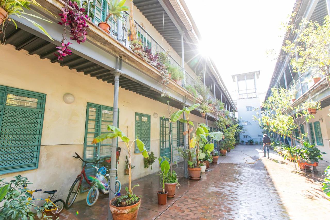 Apartamento 3 Dormitorios En Calle San Vicente. Sevilla Exteriér fotografie