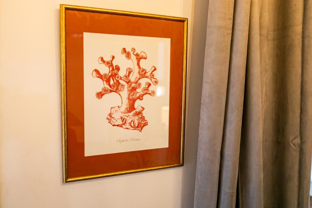 Apartamento 3 Dormitorios En Calle San Vicente. Sevilla Exteriér fotografie